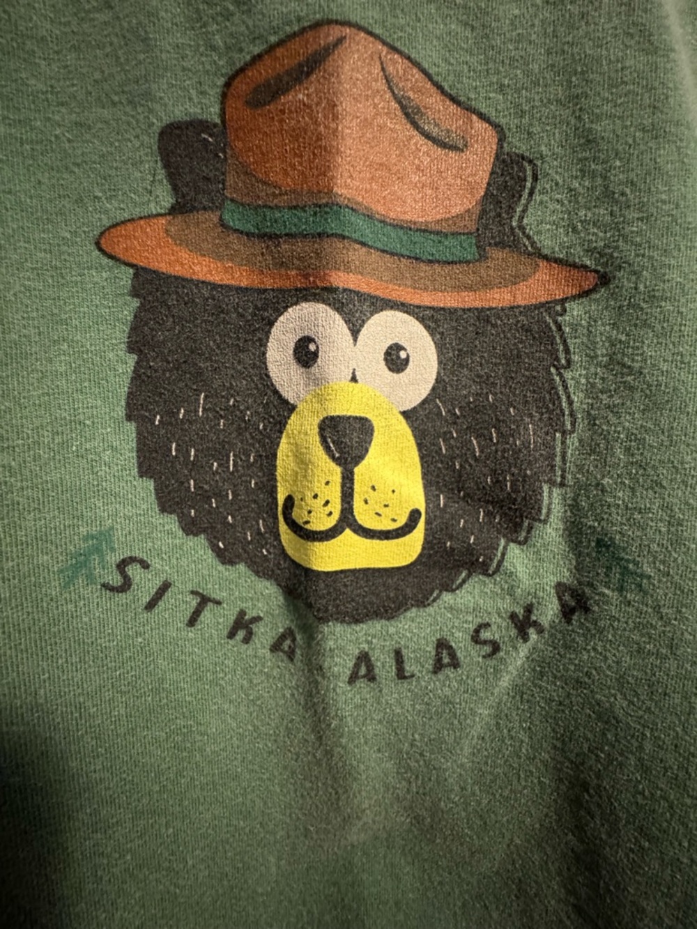 Bundle of 2 4T Alaska T-Shirts, and 1 4T Alaska pajama set - Picture 4 of 16